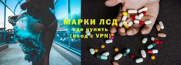 амф Гусиноозёрск