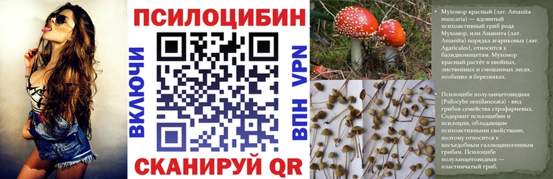 blacksprut   Иноземцево  Псилоцибиновые грибы Psilocybine cubensis 